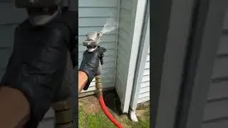 Bifen Bug Treatment