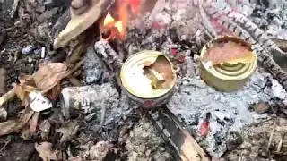В поисках черемши.