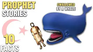 10 Surprising Prophet Stories In Islam