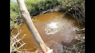 Fishing in a small river on a spider lift