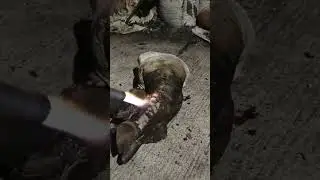 how to cook wild boar feet