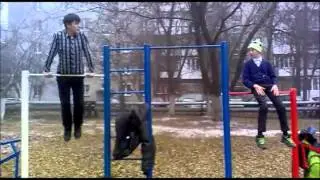 STREET WORKOUT НАЧИНАЮЩИХ