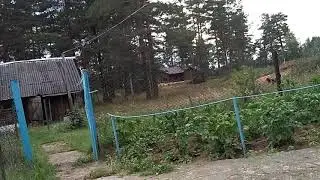 Собака кусает человека. Как не надо себя вести с собакой
