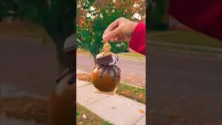 S'mores Caramel Apple 