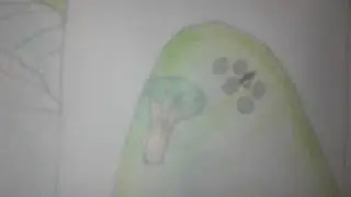экскурсия по времени.