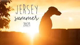 Jersey the Vizsla - Summer 2021