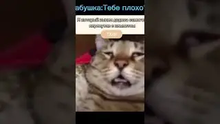 когда выпил дедова настоечку