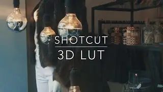 3D LUT SHOTCUT Filmic Pro Test 4k