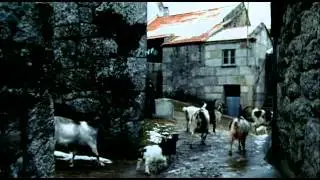 Аки Каурисмяки. "Бико"