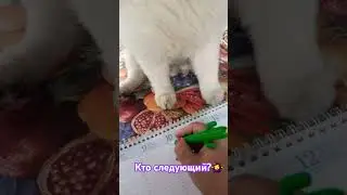 ПОГОВОРИМ💫