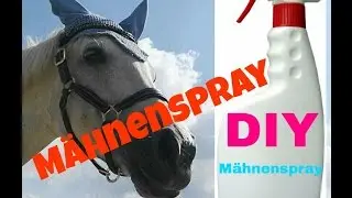 DIY Mähnenspray♥