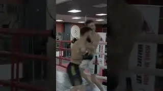 Жёсткий нокаут на Вершине!Бои поп мма.