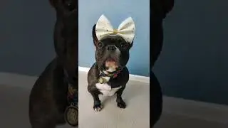 Как быстро летит время)