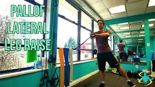 Pallof Lateral Leg Raise - Rejuv Exercise Library - #medicalfitness