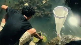 PRAKTIK LAPANGAN | Biomonitoring | Ruang Terbuka Hijau Cilacap | Kelompok2 | 2025 | 1C ~ Oto Prasadi