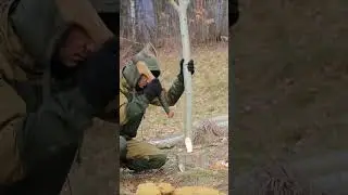 Bushcraft solo #camping  #bushcraft #survival #building Part - 1