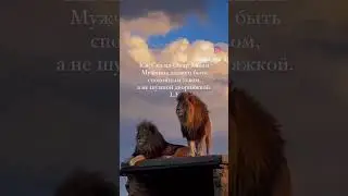 19 марта 2024 г.