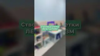 Стволовые клетки лечат аутизм. Подробнее в описании