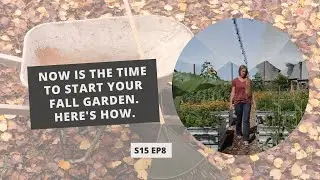 S15 E8: NOW is the Time to Start Your Fall Garden. Here's How.