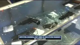 Robbing a GUN STORE with a Baseball Bat