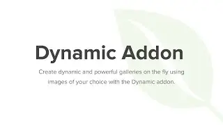 Envira Gallery Dynamic Addon