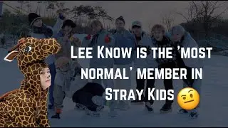 Lee Know is the 'most normal' member in stray kids🤔