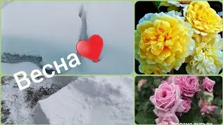 🌿🌿4 Мая 2024! Весна🌿! СнегА!🤪Обзор посылки с розами🌹! Нью - Джерси. #розы#уральскиерозы