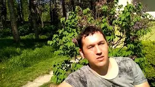 Словакия, Выжить любой ценой
