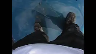 trampling car