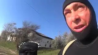 Чего только не встретишь в море...