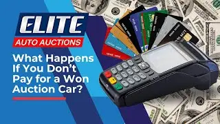 Car Auction Rules You MUST Know!