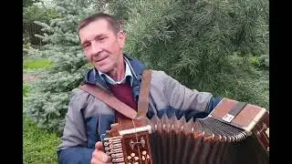 Играй гармонь, ромодановская: Владимир Митронин!