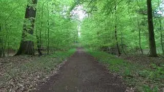 VIDEO BACKGRAUND   GREEN SCREEN22