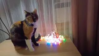 Мастер класс Новогодняя кормушка