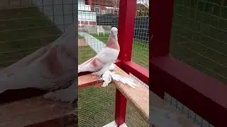 Молодёжь взрослеет.