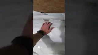 ролик для авито. ковровое покрытие balta natura