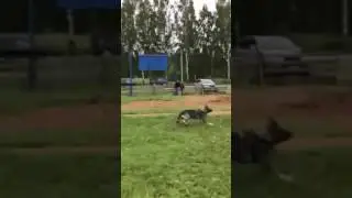Лобовая Хельхаус Унельма с Игорем Недбайло