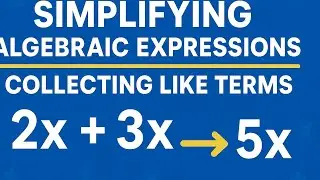 Simplifying Algebraic Expressions (Collecting like terms) Explained.