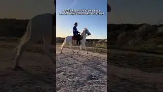 POV: Tu Colega Que Te Debe Dinero🤑