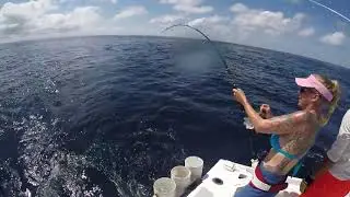 Fishing for Mahi Mahi (Dolphin)