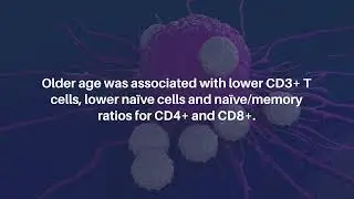 The Impact of Age, Sex, CMV, and Smoking on Circulating Immune Cells | Aging-US