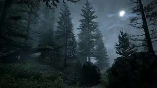 Ambient Worlds ~ Moonlit Woods (Alan Wake)
