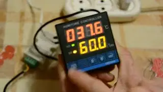 Настройка терморегулятора для инкубатора TDK-0302.Таганрогский живой уголок.