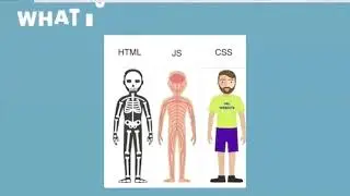 HTML, CSS & JavaScript | Web Designing Tutorial | How to do ?
