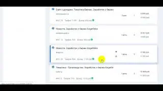 Отзыв о курсе САЙТ-КАПИТАЛ Романа Пузата: сможете ли вы легко купить доходный сайт на самом деле