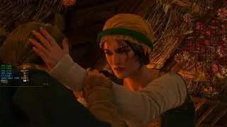 FX-8350 + GTX 1650, The Witcher 3, 1080p, High