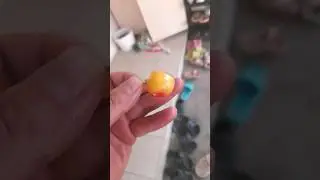 Гелоси 🤣 нарам  мешидай ? Такую черешню вижу впервые.🤣 #черешня #прикол2024 #tjk9998 tjk9998
