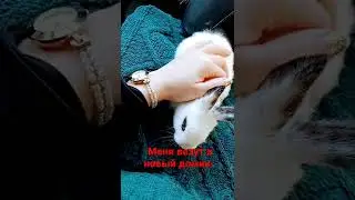 Первый день новой жизни 🥳