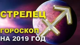 Стрелец. Гороскоп на 2019 год.