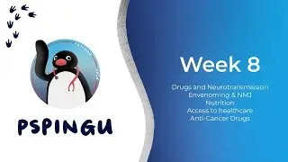 Sem 1 Week 8 Content + Week 7 Quiz